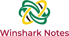 Winshark Notes